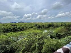 Kingsford Waterbay (D19), Apartment #502557661